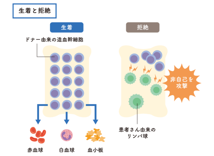 生着と拒絶