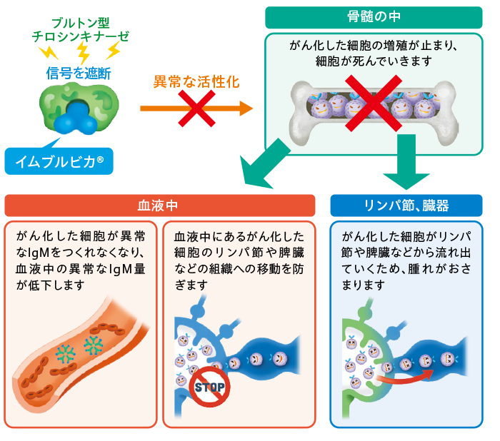 イムブルビカ®の働き