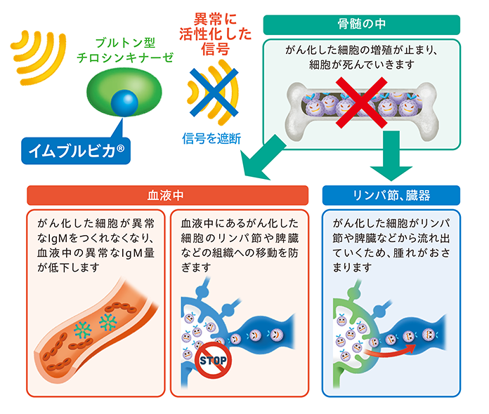 イムブルビカ®の働き
